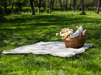 Picnic_3