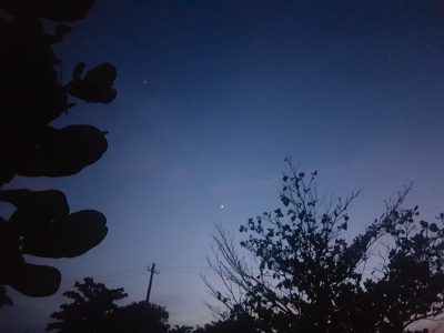 starry_1